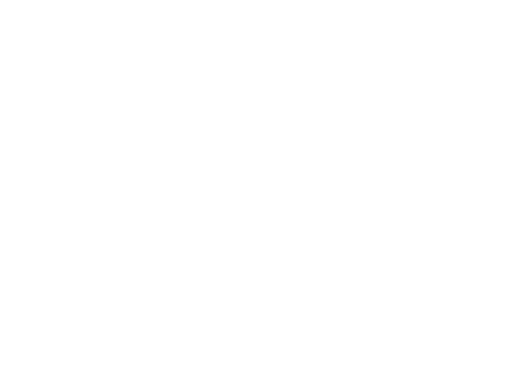 Care Awaits logo, with white angel wings either side of the name